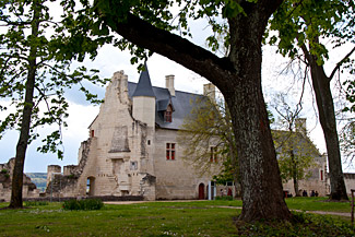 Chateau de Chinon, France