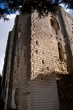 Chateau de Montrichard, France
