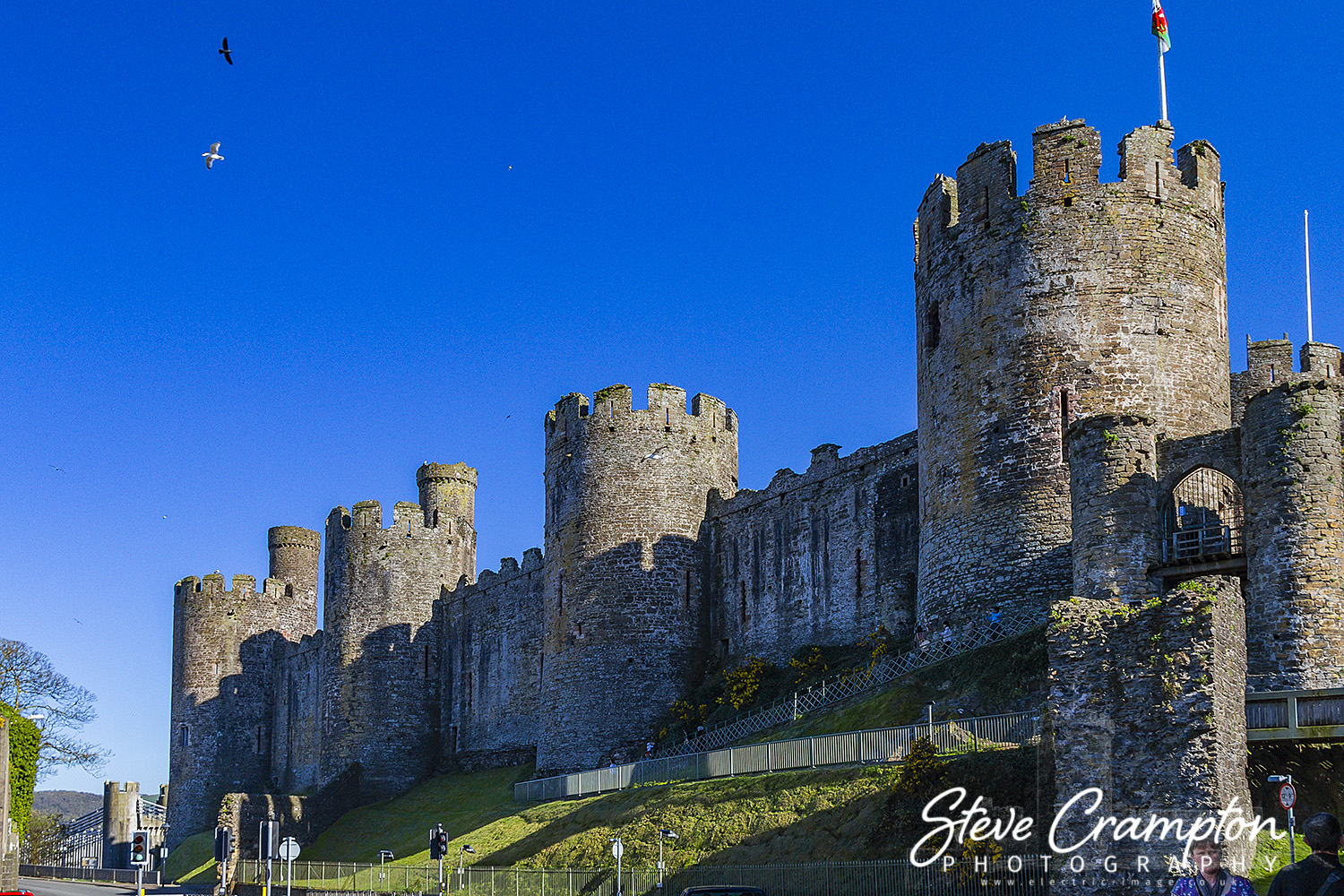 Conwy Castle