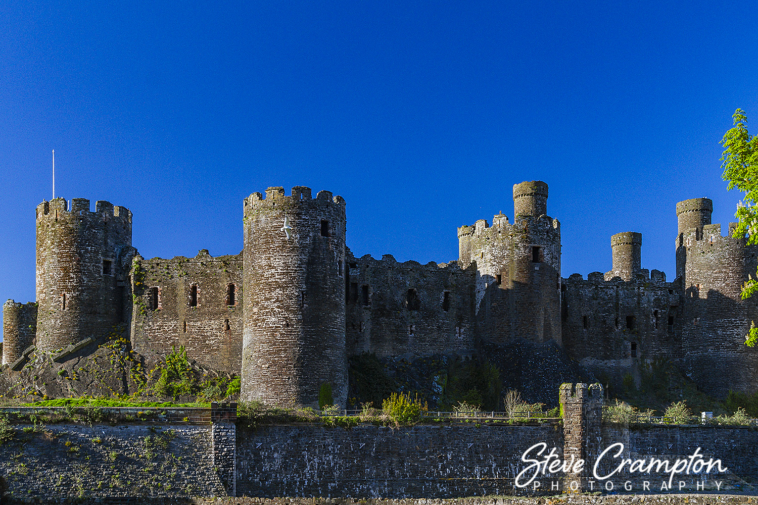 Conwy Castle